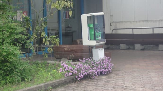 DSC-TX1の画像