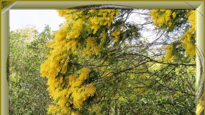 花木色々