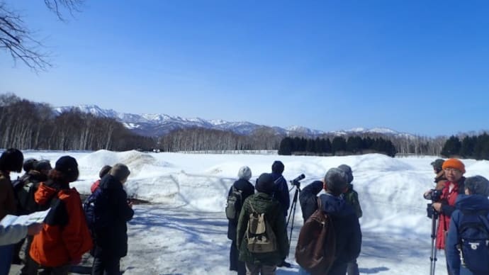 2024年3月26日(火) さっぽろ自然散歩「前田森林公園」