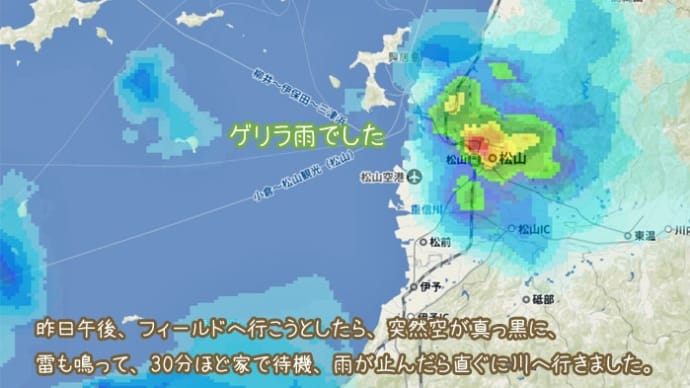 いきなりの雨が・・・