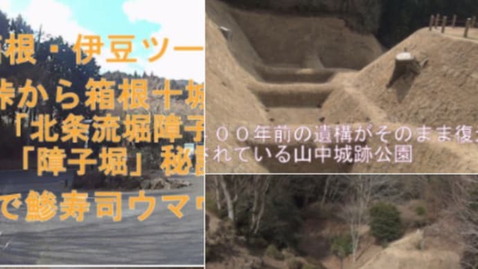 箱根十城 山中城址 「北条流堀障子」「畝堀」「障子堀」秘話・ 修善寺/鯵寿司ウマウマ ^^!