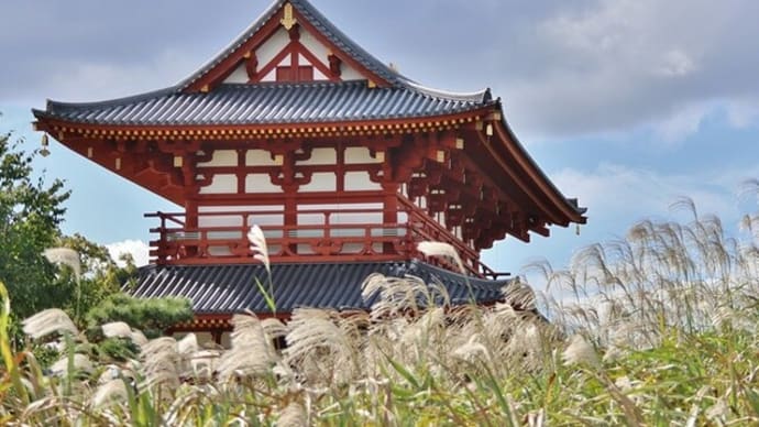 ススキの季節到来!・・・平城宮跡 おぎの美術館