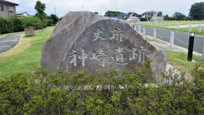 綾瀬神崎遺跡公園見学