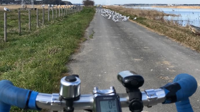 長生きしたければ自転車に乗れ