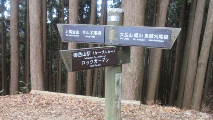 No.385　サルギ尾根から大岳山へ