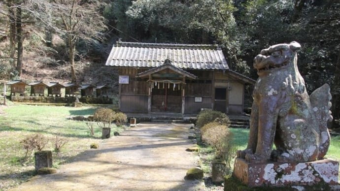 田殿神社のセツブンソウ