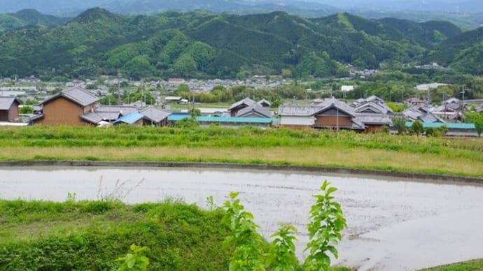 御所市伏見の展望所より高見山を望む