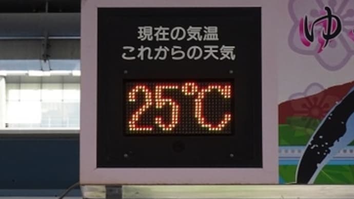 ７６９　一気に「初夏」へ