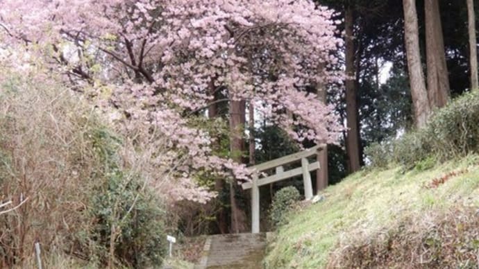 地球誕生は４６億年前