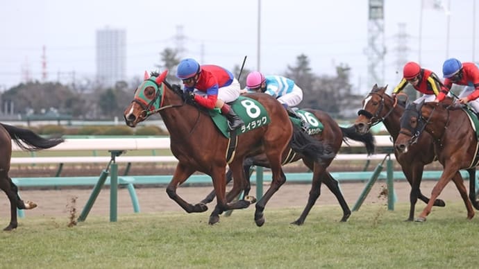 【予想】 第39回 フェアリーステークス GⅢ