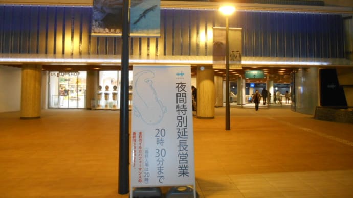 京都水族館夜間