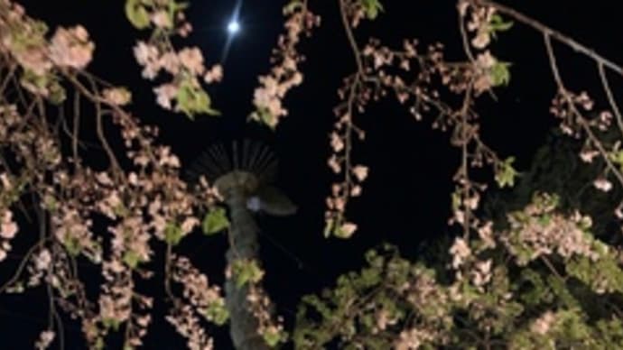 八幡祭 1