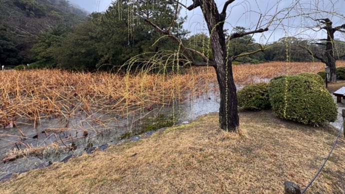 雨~雪~初夏~大風