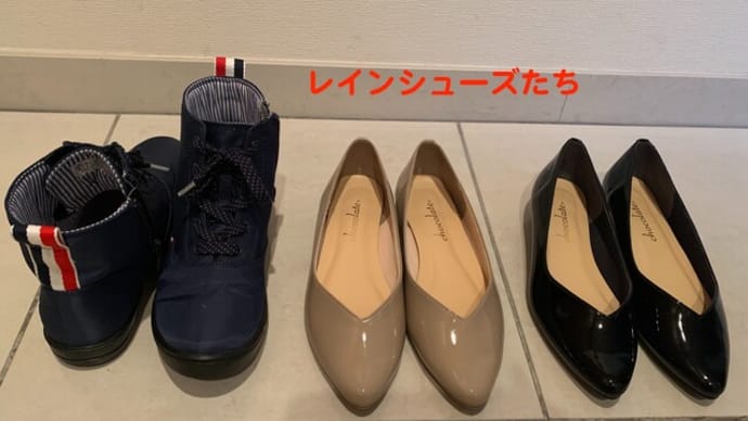 梅雨の準備。