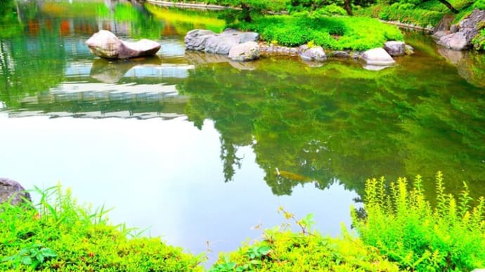 🐉🌈【池上本門寺】奥庭の〖🌳松濤園🍃〗光景❢❢