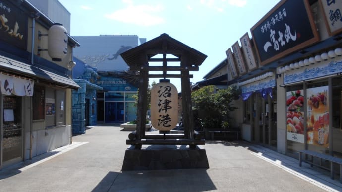 沼津市 にし与 あじたたき丼、生シラス