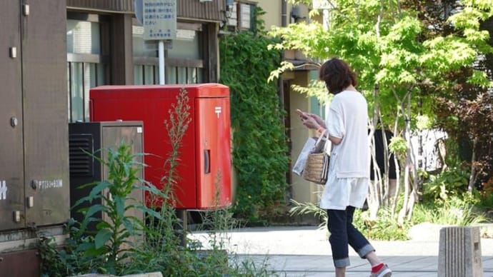 散歩写真 22/09/04