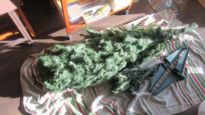 クリスマスツリーの準備で忙しかった1日