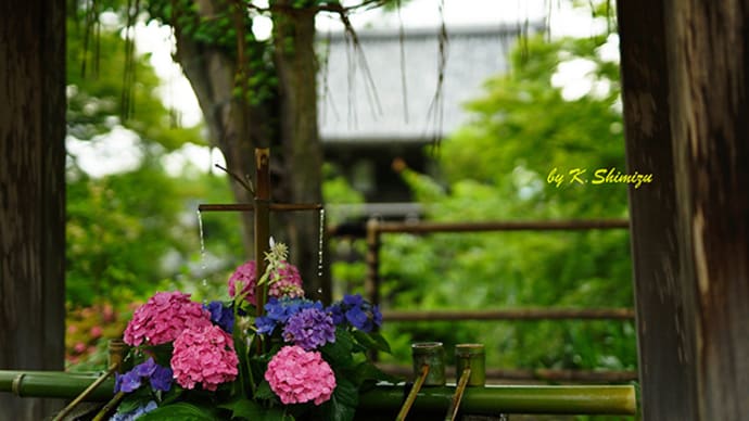 大雨に注意 7月8日(土)曇り