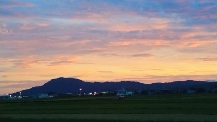 山本山