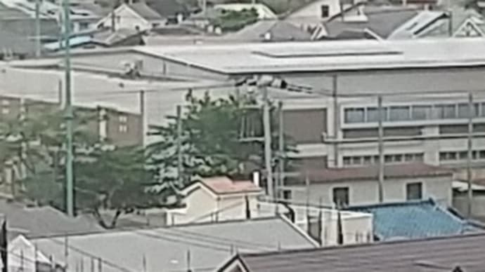 そうか、「春」の運動会か・・・