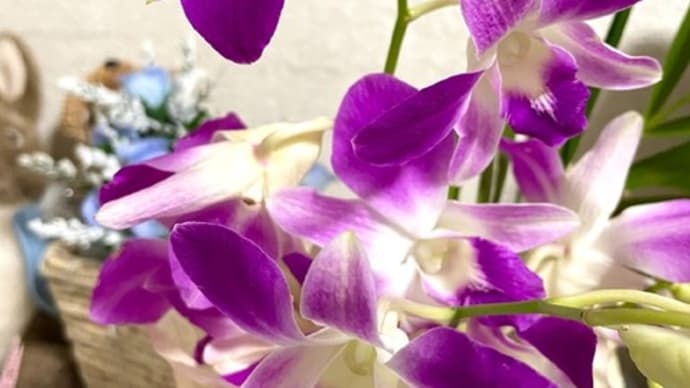 花を慈しむ