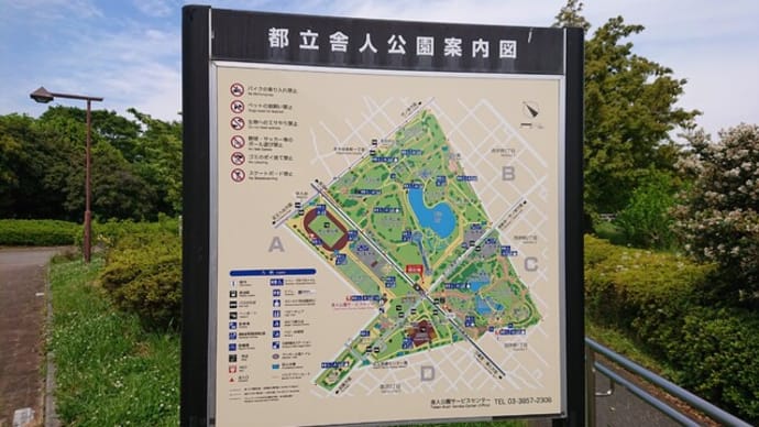 舎人公園（東京　足立区）のネモフィラはとてもオススメ！