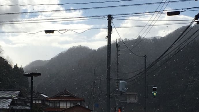 初雪❄️ですね