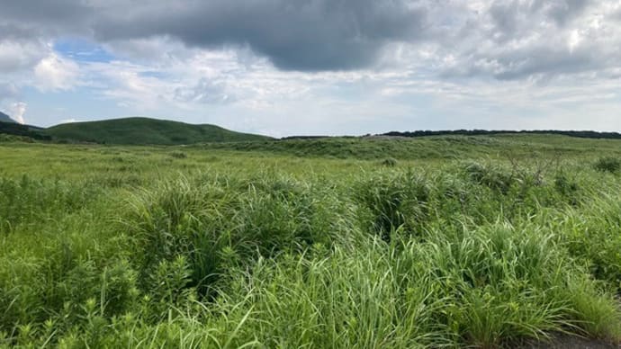 大野原高原