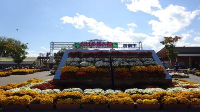 たけふ菊人形