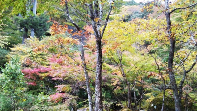 情報もお伝えして