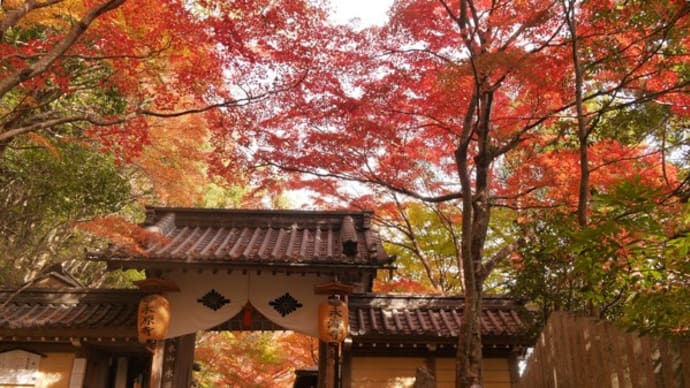 永源寺の紅葉(上)