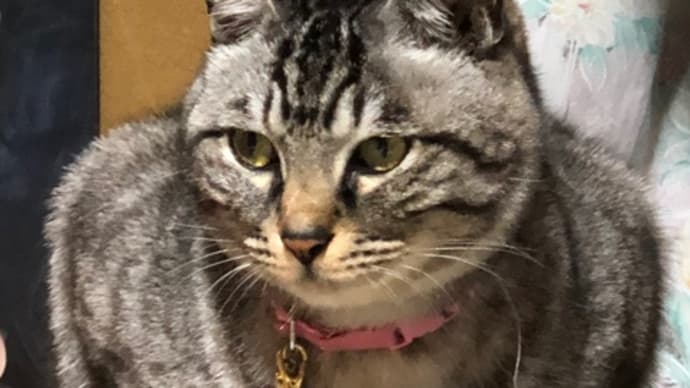 20191130