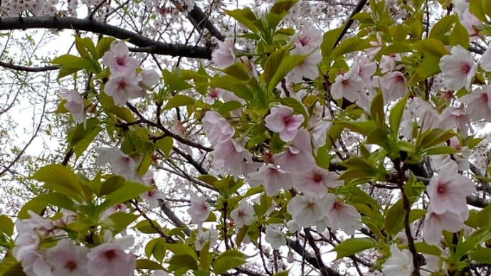 やる気の波、押しては引いて、寄せては返す・・・そして4月!