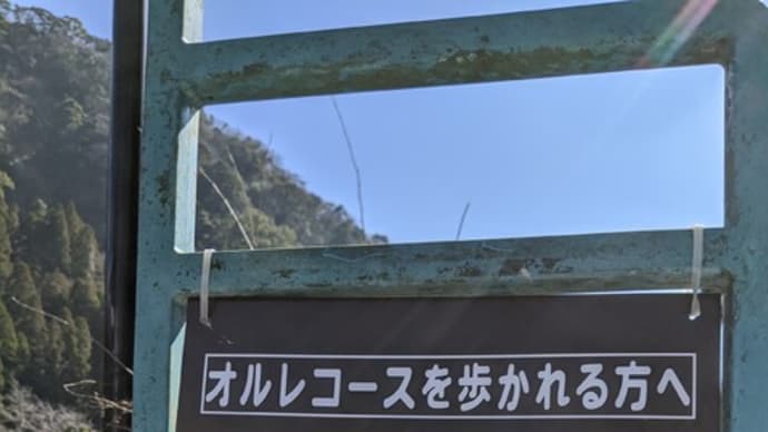 ホントはオルレコースを行くハズが…😅