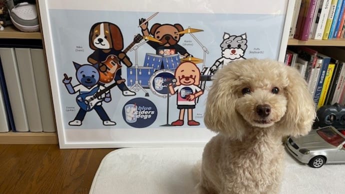 『blue cider dogs』のA2ポスターを作成!