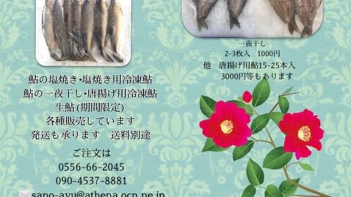 明日、富士川下流の解禁日