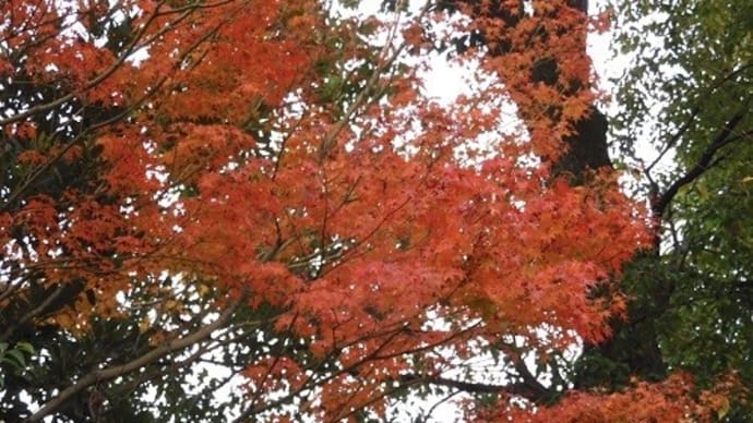 生田神社の大絵馬
