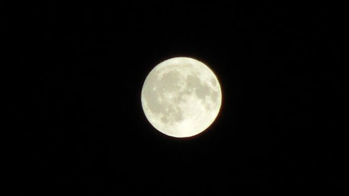 beautiful moon & Takoyaki