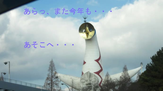 今年も・・・