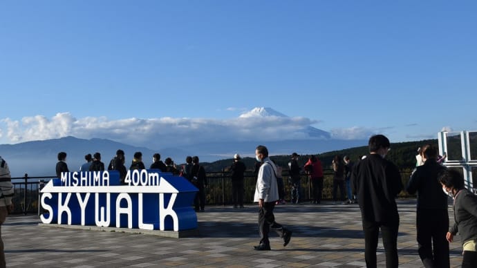 もみじ狩り 静岡県三島市笹原新田 三島スカイウォーク(1)今こそしずおか元気旅 ふじのくに 地域クーポン