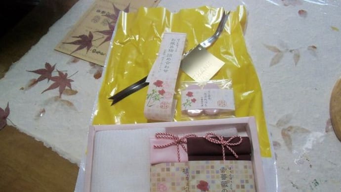 下関市「火の山ロープウェイ」②&チョウチョちゃまと遊びましゅ🐈