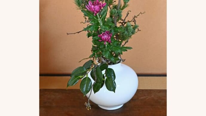 青松│花信