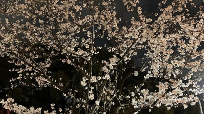 花冷えの夜