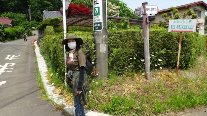 日和田山制覇