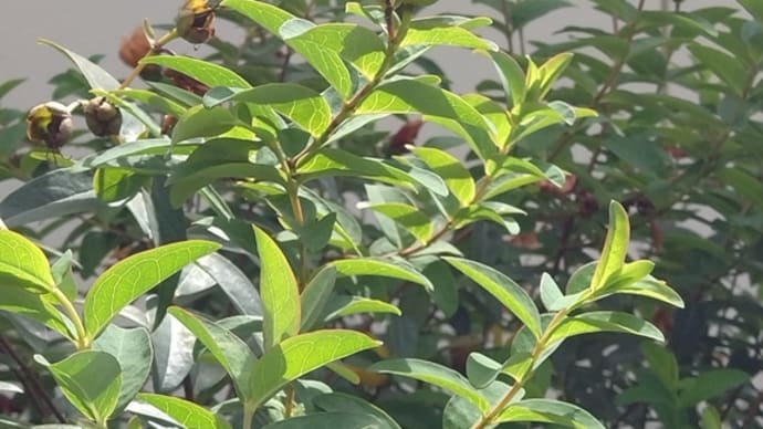 "大荒れ"  お盆の中日