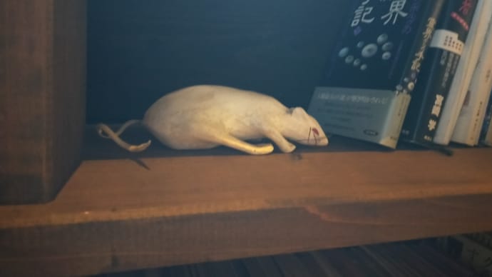 逃亡中