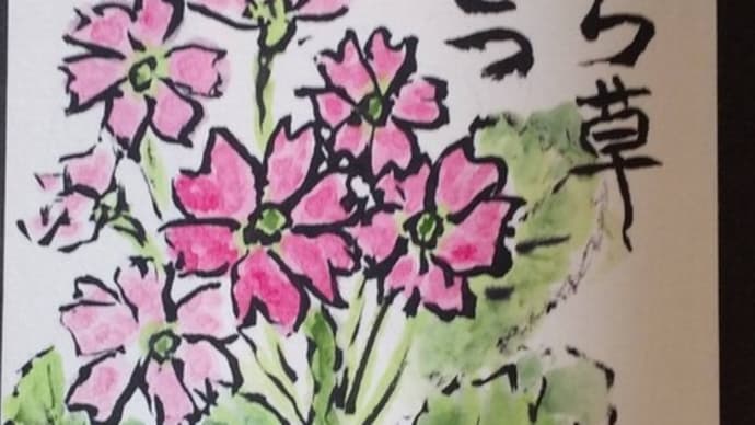さくら草、れくいえむ