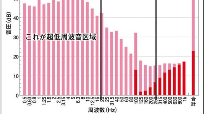 風力発電所・超低周波出力とヒトの健康 ポルトガル・ルソフォナ大学教授 マリア・アルヴェス・ペレイラ