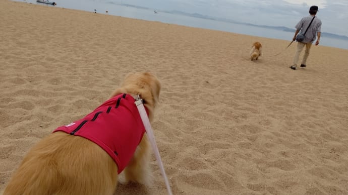 初泳ぎ@渋川海水浴場